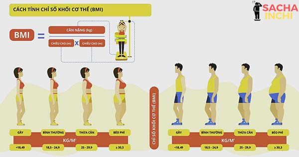 cong-thuc-tinh-BMI-don-gian